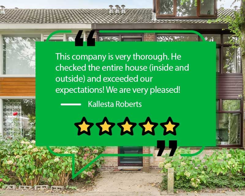 proteam home inspectors google review